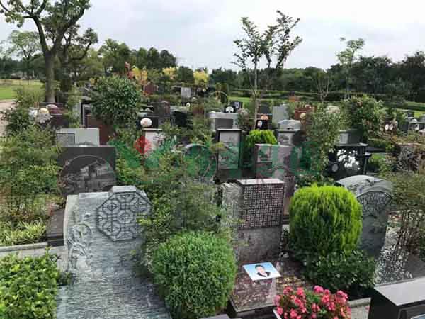 冰球突破-冰球电游豪华版_MG冰球游戏