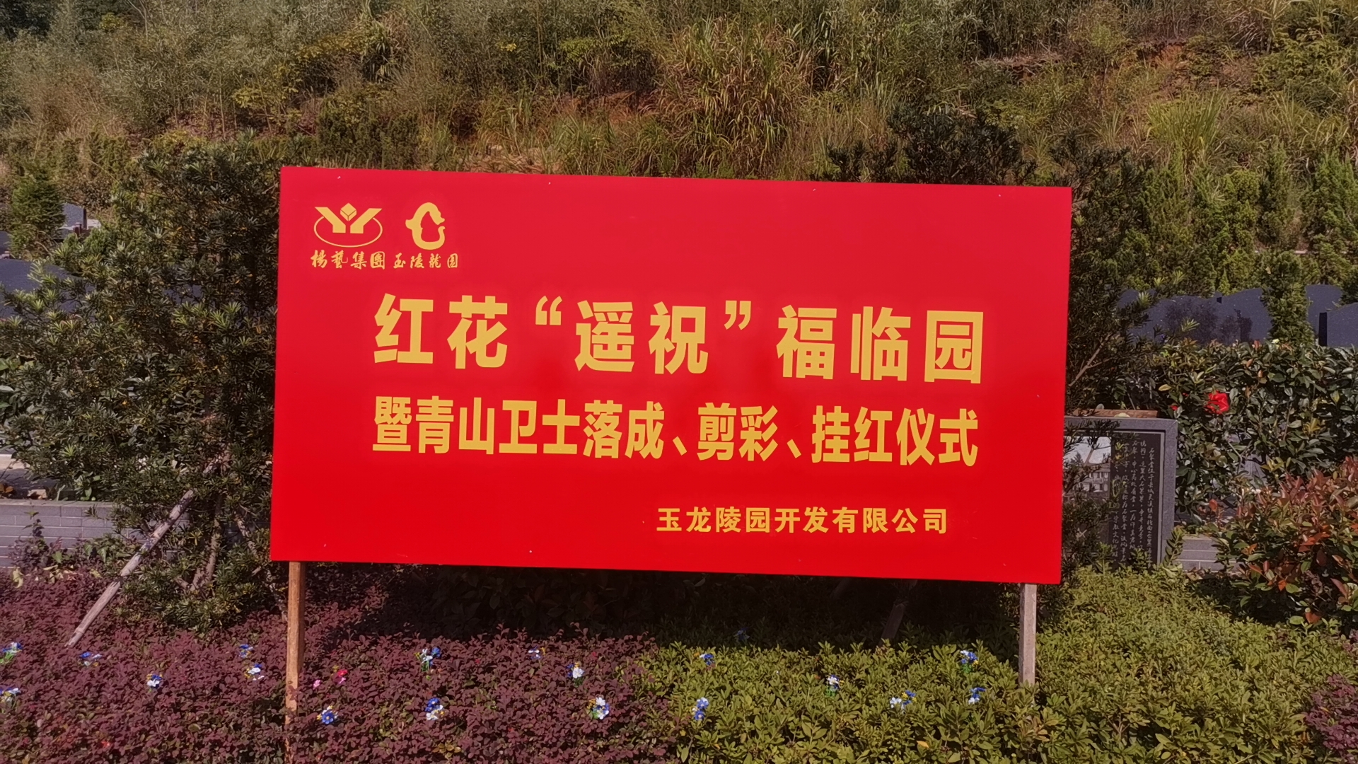 红花传爱意，情满玉龙园！