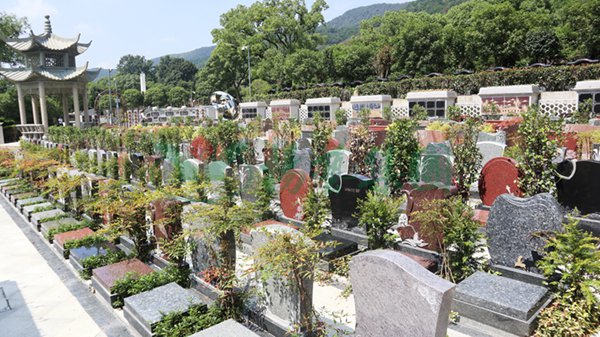 冰球突破-冰球电游豪华版_MG冰球游戏