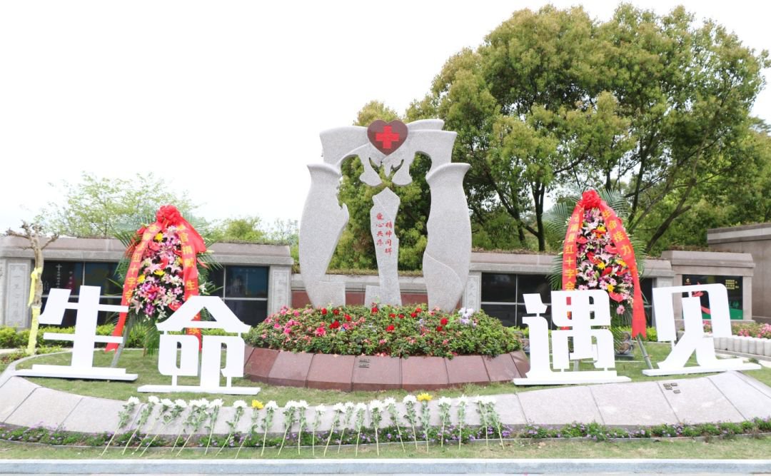 冰球突破-冰球电游豪华版_MG冰球游戏