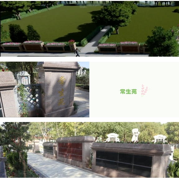 冰球突破-冰球电游豪华版_MG冰球游戏