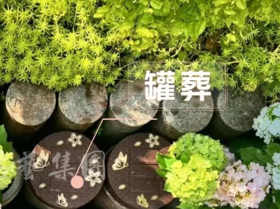 冰球突破-冰球电游豪华版_MG冰球游戏