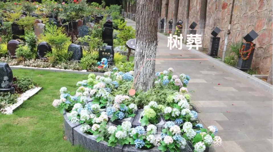 冰球突破-冰球电游豪华版_MG冰球游戏