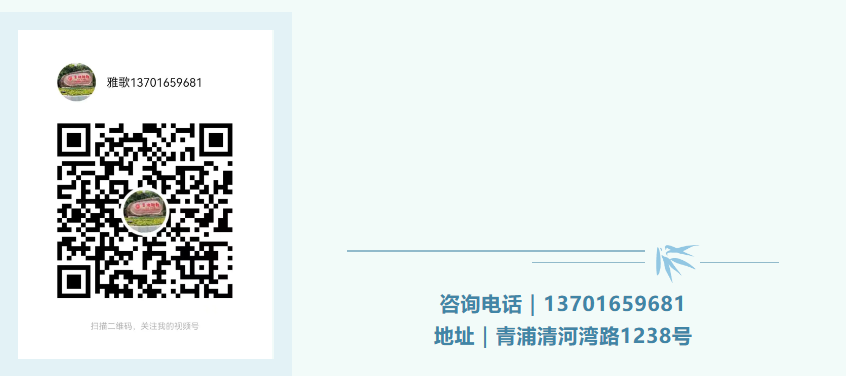 冰球突破-冰球电游豪华版_MG冰球游戏