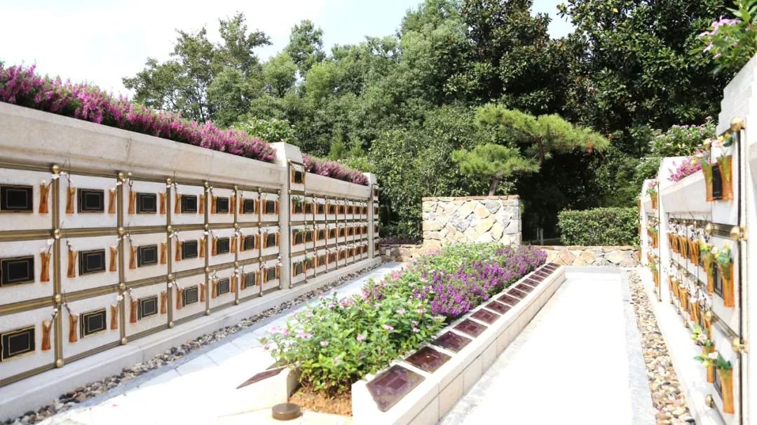 <b>在合肥大蜀山文化陵园，与生命温柔对话</b>