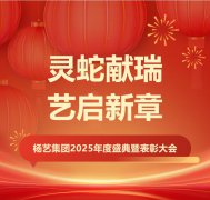 灵蛇献瑞 艺启新章 | MG冰球游戏集团2025年度盛典暨表彰大会