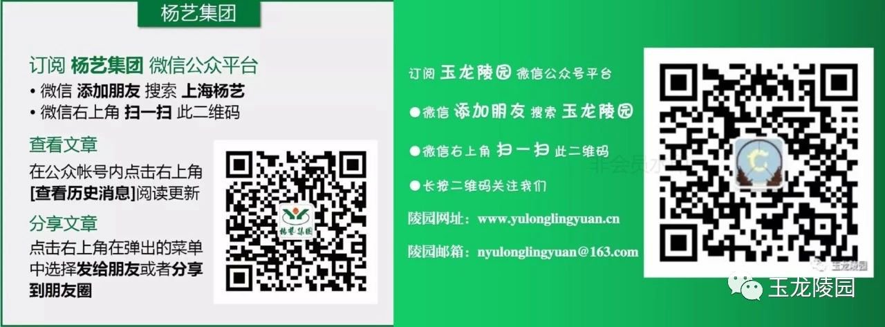 冰球突破-冰球电游豪华版_MG冰球游戏