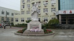 石雕匠心，镌刻医者风华