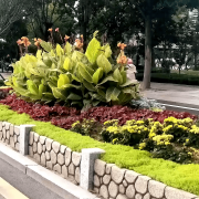 无机仿真石花箱：以永恒之名，塑未来之境