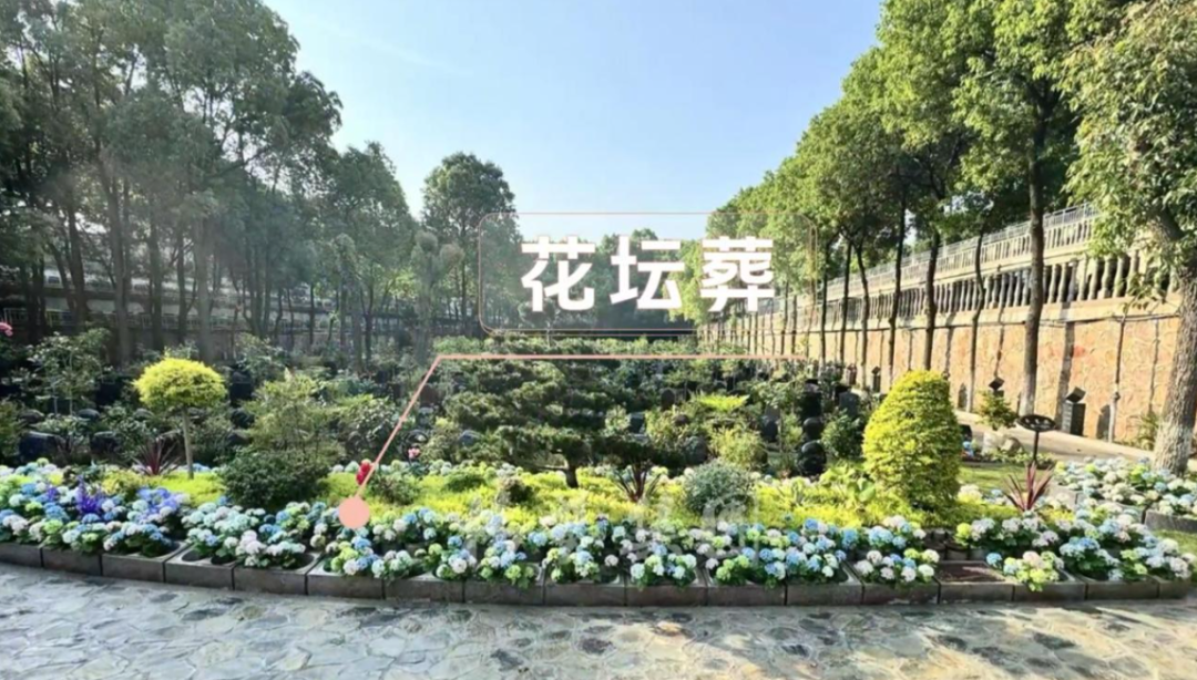 冰球突破-冰球电游豪华版_MG冰球游戏