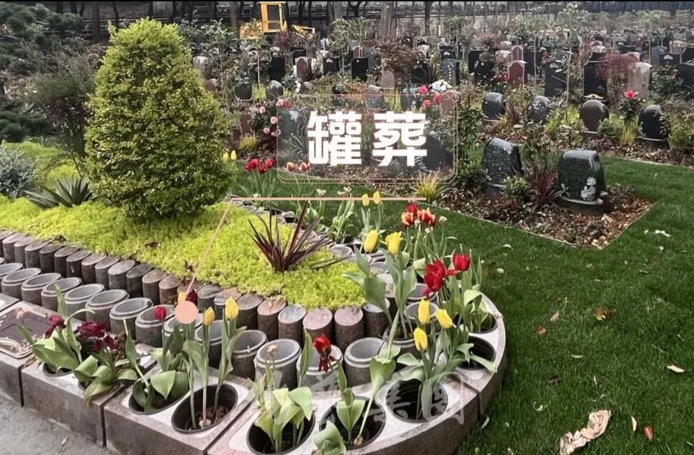 冰球突破-冰球电游豪华版_MG冰球游戏