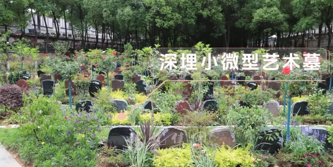 冰球突破-冰球电游豪华版_MG冰球游戏