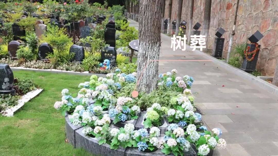 冰球突破-冰球电游豪华版_MG冰球游戏