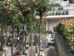 微改造，大情怀——老墓园规划设计的温度与智慧