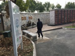 以心为笔，绘就可落地的生命花园