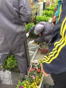 【MG冰球游戏人别样清明】2018年清明落葬工作圆满完成