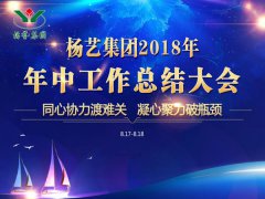 MG冰球游戏集团2018年中总结报告（摘要）