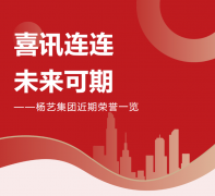 喜讯连连，未来可期 | MG冰球游戏集团近期荣誉一览