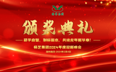 2024年MG冰球游戏集团迎新春年会暨颁奖典礼盛大举行